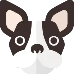 Pug Modified French Bulldog SVG Icon